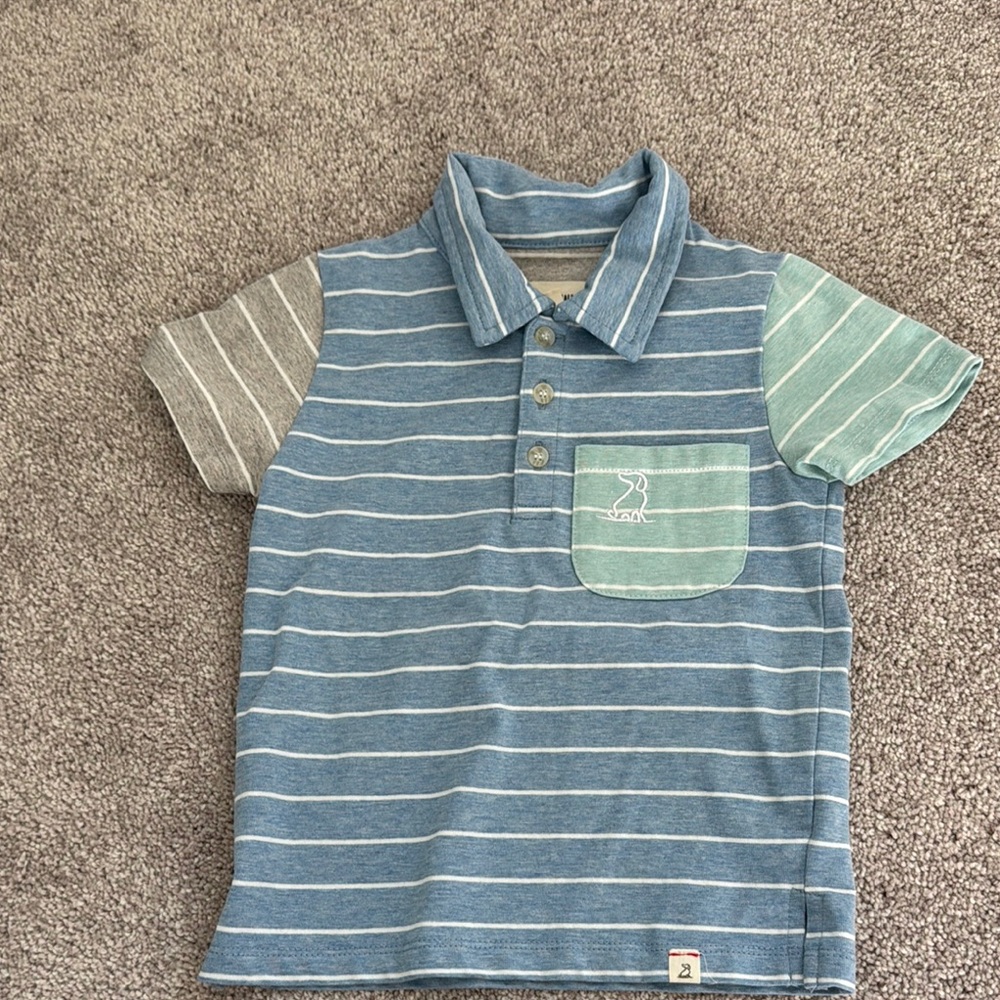 Striped with gray and green sleeve polo